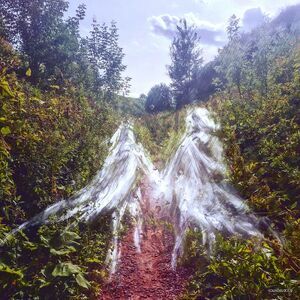 Penelope Antena - Beamorose  LP LP